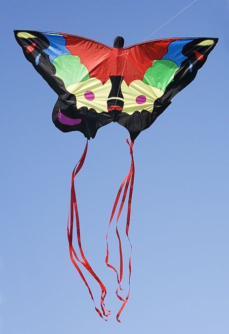 Воздушный змей 137*79 см