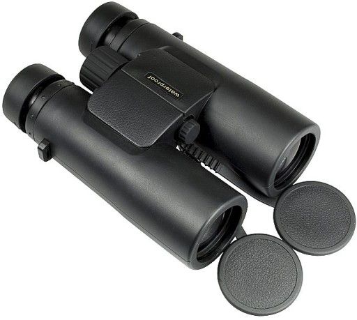 Бинокль 10x42