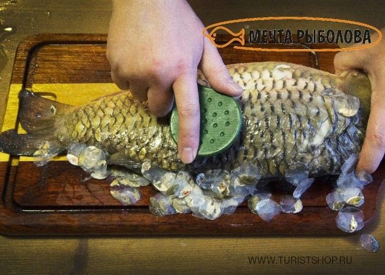 Профессиональная рыбочистка Мечта рыболова