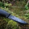 Нож MORAKNIV Companion Tactical