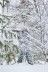 Зимний камуфляжный костюм JahtiJakt Rosto Premium Snow Camo