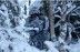 Зимний камуфляжный костюм JahtiJakt Rosto Premium Snow Camo