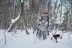 Зимний камуфляжный костюм JahtiJakt Rosto Premium Snow Camo