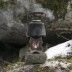 Печь - щепочница Savotta Happy Stove