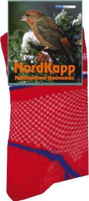 Термоноски AvI-Outdoor 303 Multicolor Sport