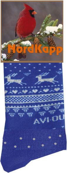 Носки NordKapp 517 Норвежские звезды